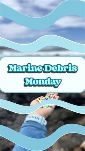 20 reactions · 9 comments | We’ve been seeing lots of microplastics on our beaches lately  These microplastic can really harm our wildlife! They look exactly like some prey items, and are easily swallowed by birds, fish, and turtles. Help us keep these microplastics off our beaches so we can keep Hawai‘i wild! #wildhawaii #keephawaiiwild #hawaii #marinedebris #microplastics | Hawaii Wildlife Fund | Facebook