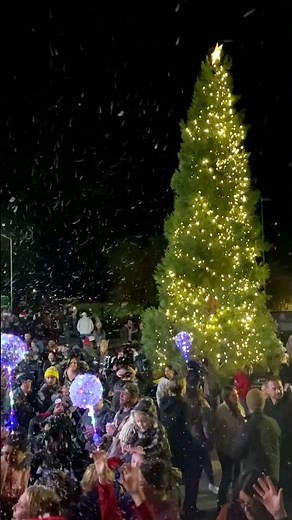 Celebrate at the Community Christmas Tree Lighting in Oroville, California 🎄 │ Explore Butte County