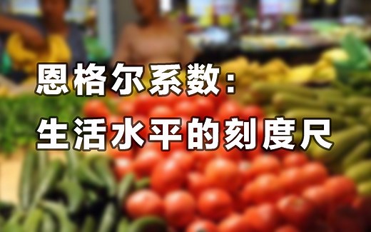 恩格尔系数：生活水平的刻度尺