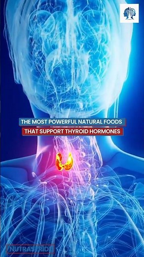 The Most Powerful Natural Foods That Support Thyroid Hormones #Thyroid #Hormones #nutrition