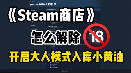 【小白必看】steam怎么解除限制？开启大人模式“小黄油”入库教程