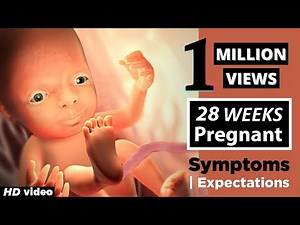 28 Weeks Pregnant: How to Check Baby Position & Health Care Tips