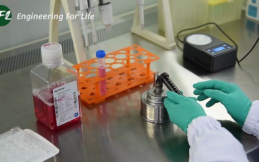 GelMA操作指南凝胶表面细胞培养（2D培养）