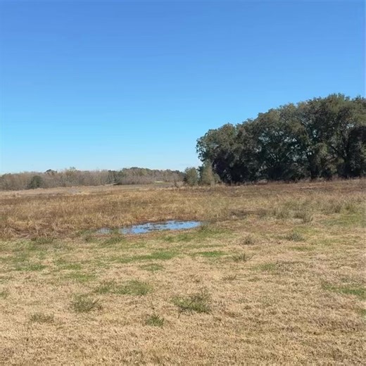 A few more specks down. And some ducks in places we haven’t seen them all season.. | Spoonbill Adventures Guide Service