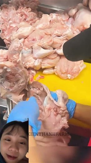 Chinese industrial chicken meat processing procedures