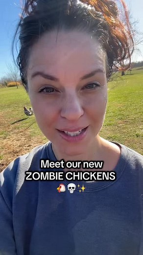 We did a thing…Song Dog Meadow just got new family members! Adopted fresh chickens ✔️ Added some adorable ducks ✔️ Accidentally brought home ZOMBIE CHICKENS ✔️💀🐔 #songdogmeadow #chickens #ducks #zombiechicken | Song Dog Meadow