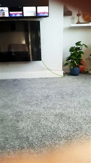 did I just make a endless loop