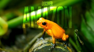 Mysterious Amazon: Shocking Discoveries in the World’s Largest Rainforest