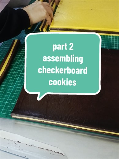 Delicious Checkerboard Cookies: Part 2 of Classic Biscuit Making