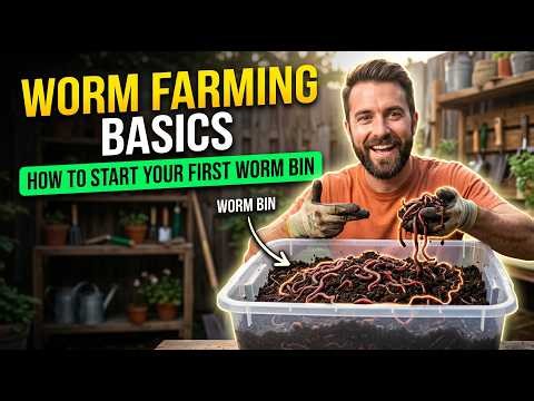 Worm Farming Basics: How to Start Your First Worm Bin