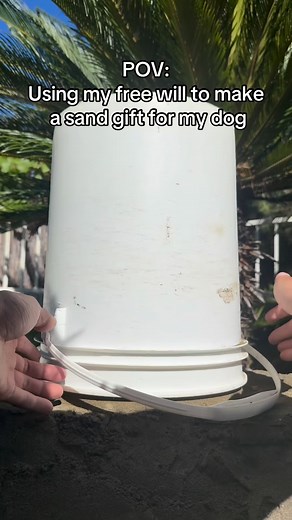 Making a sand present for my sand dog @lifesabeach_withboo - - - - - - #sand#sandcastle#sandsculpture#beach#oddlysatisfyingvideo#satisfying#trending#viral#fyp#discover#explore#ar#artist#trending#viral#fyp#dog#blacklab | Jpsandman Ca