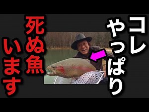 【村田基】コレやっぱり駄目になる魚います。【村田基切り抜き】