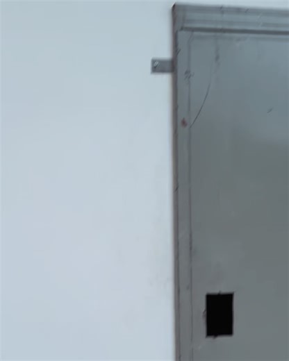 神谷憲侍 on Instagram: "_ _ 2025/6/15〜6/20 日本マクロディフューザー研究所 マレーシアマクロ撮影研修記 No.41 _ _ Attacus atlas Atlas moth ヨナグニサン 与那国蚕 _ _ Attacus atlas 鱗翅目 Lepidoptera ヤママユガ科 Saturniidae ヤママユガ亜科 Saturniinae ヨナグニサン属 Attacus ヨナグニサン A. atlas 出現時期 5～11月 年3回：4月•7月下旬 - 8月上旬 10月中旬 生息地 インド•東南アジア•中国•台湾 日本にかけて幅広く分布 大きさ前翅長 100～140mm 開帳：約350-380㎜ 2025-6-18-8:34撮影 _ _ 朝の一人散歩で まさかの目視40㎝級 のアトラス♂発見🤩 望遠レンズを取りに 部屋まで走ってもどり撮影。 どうしても手乗りに挑戦したく 直ぐに一脚を伸ばして、先端に とまらせ手繰り寄せたまでは 良かったが数㎝ところで飛ばれる バサバサと地面を叩くアトラスと 機材を担いだまま地べたで追いか けっこ、もう抑えこむしか無い