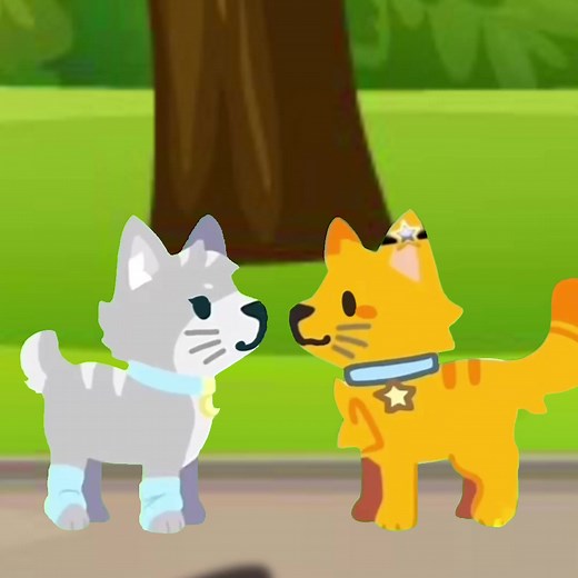 Velvet and Cupid: A New Member in the Cat Crew