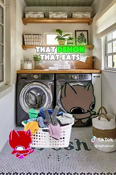 Cats Out the Window: A Fun Meme Compilation