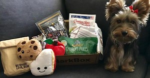 1.4K reactions · 444 shares | NOW - FRIDAY ONLY: Pay $1 for your first BarkBox today and as little as $20 per month for the remainder of your plan! Free USA shipping. | BarkBox | Facebook