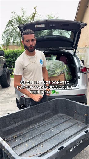 Guess the Tortoise Species We're Feeding!