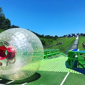 Popular Large Amusement Park Rolling Ball Slide Equipment for Outdoor Recreation Events