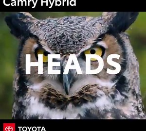 332K views · 152 reactions | With 18-in. black machined-finish alloy wheels, the Camry Hybrid SE is more than you expect. | Toyota USA | Facebook