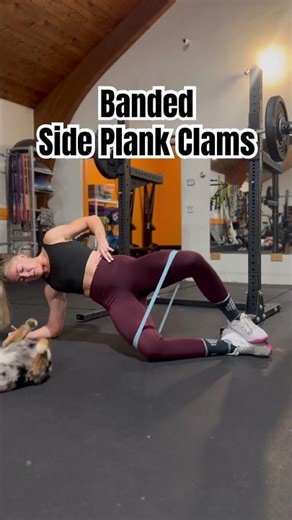 BANDED SIDE PLANK CLAMSHELLS