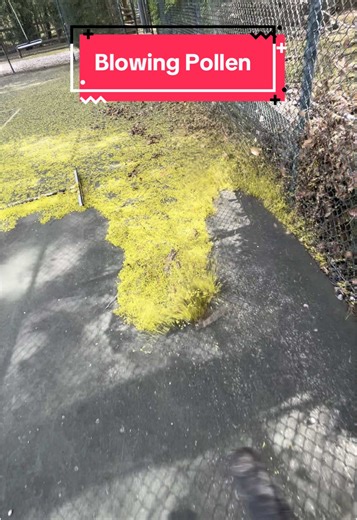 SimplicityLandscape&Design on TikTok