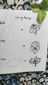 How To Draw Spring Flowers | Flowers Drawing Tutorial For Beginners