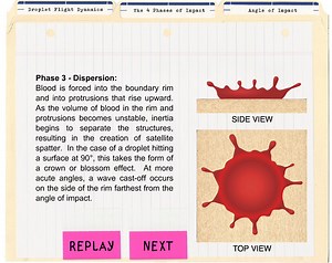 Simulations for Science Educators