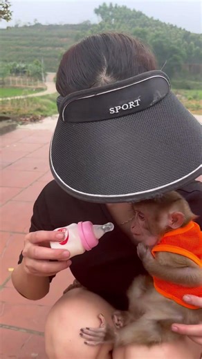 Bubu ran to her mother.❤️ #bubuthemonkey