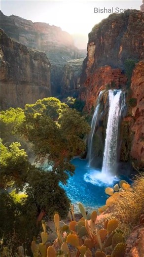 The Unreal Blue Waters of Havasu Falls 💦😱 Arizona's Hidden Paradise! #shorts