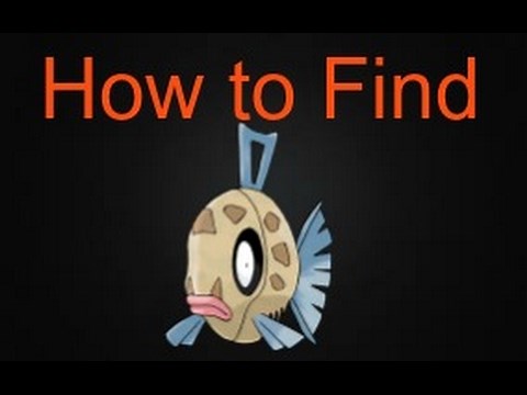 How to find Feebas | Pokemon Brick Bronze