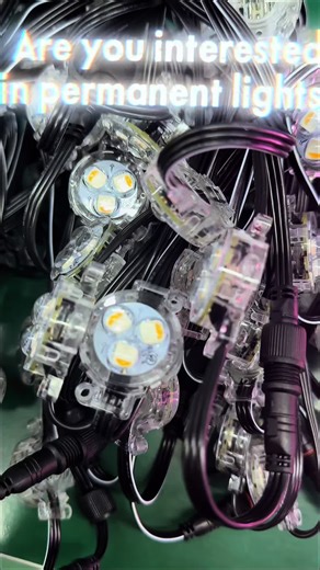 Ic Are you interested in Christmas light point sources? onucted a lifespan test on the gemstone lamp today# illumination #gemstone #ledlights #vibelighting #homelighting #lighting #vibethathouse #homelighting #lightingsolutions #asmr #unboxing #scugog#light #gemstonelights #gemstones #permanentchristmaslights #christmas #outdoorchristmaslights #point light Landscape