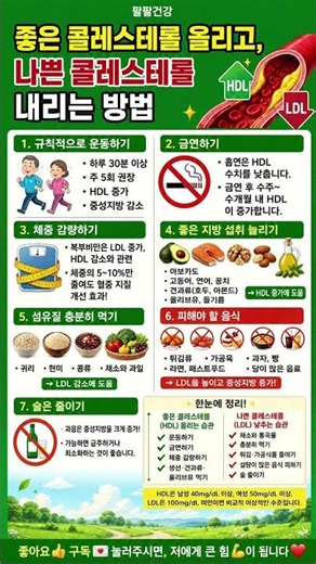 좋은 콜레스테롤 올리고📈 나쁜 콜레스테롤 내리는📉방법 #건강 #콜레스테롤