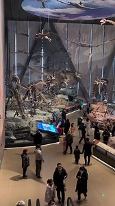 12K views · 267 reactions | #Paleozoological Museum of #China, one of the largest natural museums in Asia, opened this Jan in Bao-ding (Hebei Province). Let’s just get a thorough experience of how lives began on earth by going there in person! | T-Time HK | Facebook