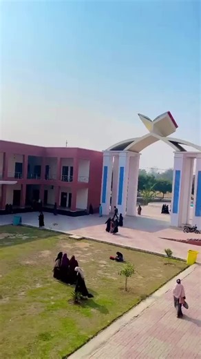 Embracing College Life: Tips and Insights