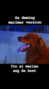 6.6K views · 101 reactions | Ako na lang si pulgaso!來 Batang 80's Abang abang noon ung episode ng marimar na orig! #followersシ゚ #highlightsシ゚ #LetsGrowTogether #Marimar | AngelZed Shai | Facebook