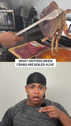 What Happens When Crabs Are Boiled Alive