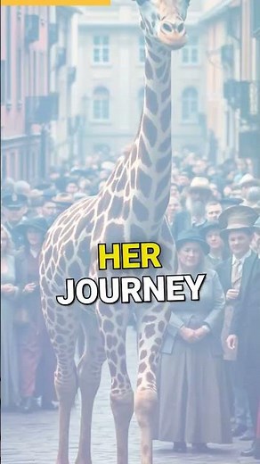 Zarafa: The Giraffe Superstar Who Conquered Paris!