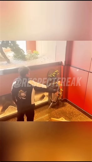 Respect shorts 😈 #shorts #respect