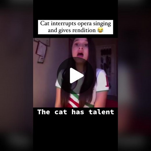 Gato Cantante de Ópera: ¡Un Dueto Increíble!