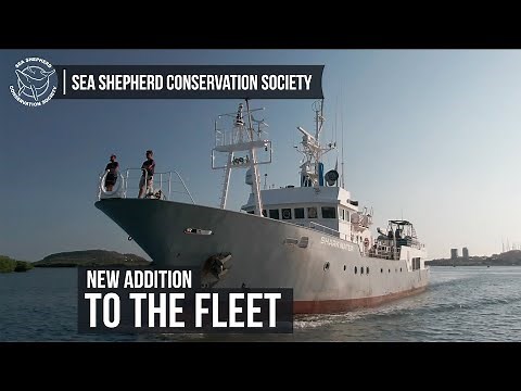 Behind the Scenes - A Glimpse at Sea Shepherd's Newest Ship!