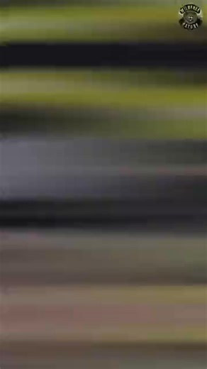 4K views · 36 reactions | Top 3 Most Dangerous Spiders in the World | Wildfree Nature | Facebook