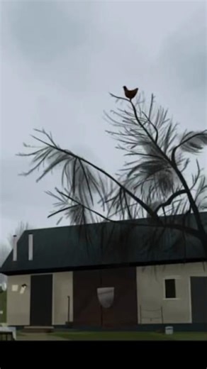 Aviation Meme: Surprising Plane Maneuvers