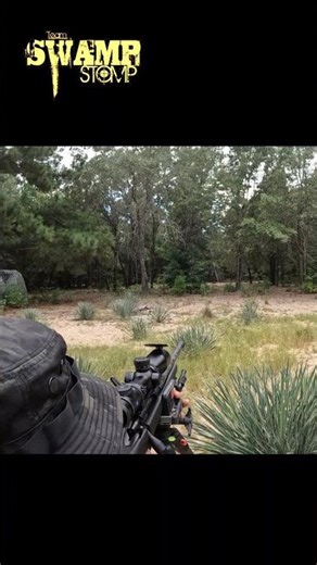 Found One Sleeping #hunting#hoghunting #boarhunting