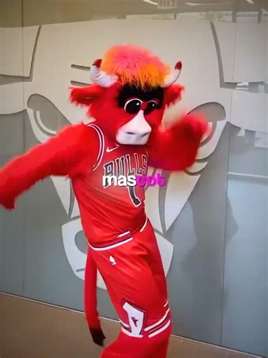 i wanna be an nba mascot 🐮🤣