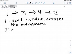 rank the following molecules in terms of their ability to move across the phospholipid bilayer of a cell membrane from most permeable easily able to move across the membrane via simple diffu 17558