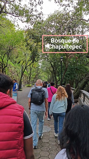 184K views · 7.1K reactions | El Bosque de Chapultepec es un bosque urbano ubicado en la Ciudad de México, Con una superficie de 866 hectáreas, es el parque urbano más grande de América Latina y el cuarto más grande del mundo.#ChapultepecNaturalezaYCultura #CDMX | La Mágica Ciudad de México | Facebook