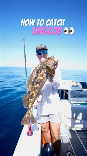 My First Lingcod 🤘🏼 #californiafishing #daltonmauldin #saltwaterfishing #fishing #lingcod