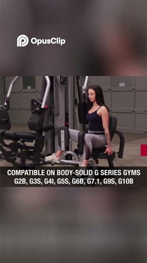 Body-Solid GIOT ProDual Inner Outer Thigh Attachment