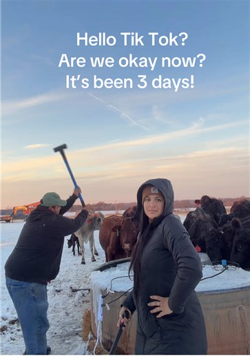 Hello? Testing 123? Tik Tok stop playing with my emotions 🥲 anyone out there?