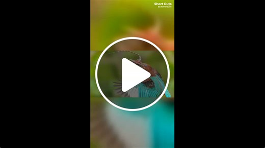 Amazing images capture a lizard's natural fight for its life - NewsBreak